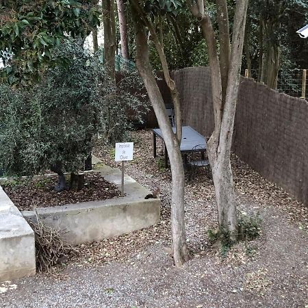 Au Vieux Lavoir Avec Parking Prive, Jardin , Climatisation, A 500 M De La Cite Carcassonne Buitenkant foto