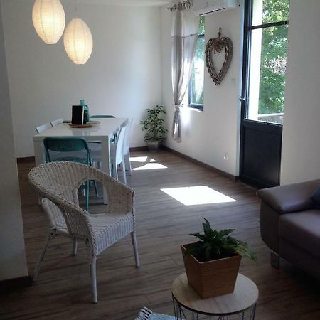 Au Vieux Lavoir Avec Parking Prive, Jardin , Climatisation, A 500 M De La Cite Carcassonne Buitenkant foto