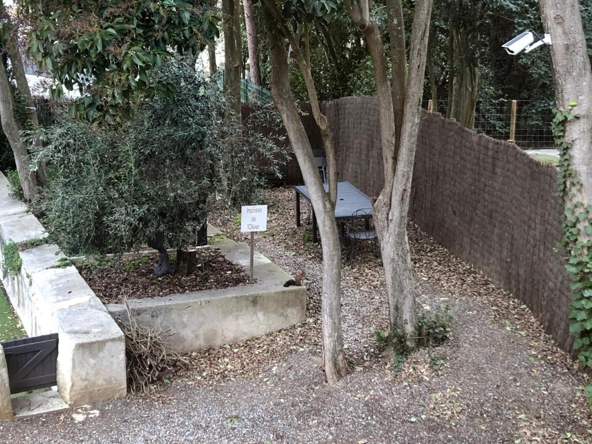 Au Vieux Lavoir Avec Parking Prive, Jardin , Climatisation, A 500 M De La Cite Carcassonne Buitenkant foto