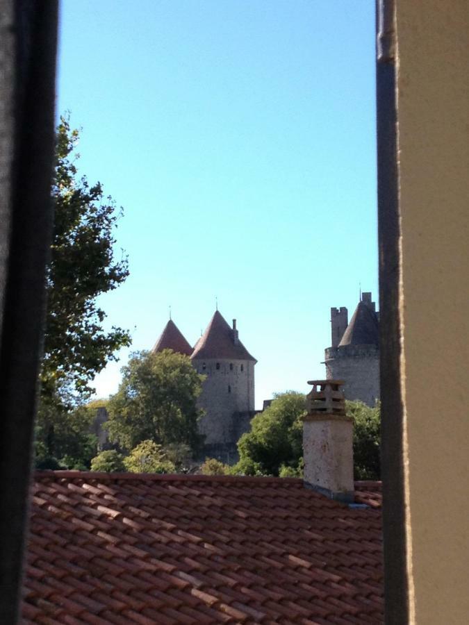Au Vieux Lavoir Avec Parking Prive, Jardin , Climatisation, A 500 M De La Cite Carcassonne Buitenkant foto