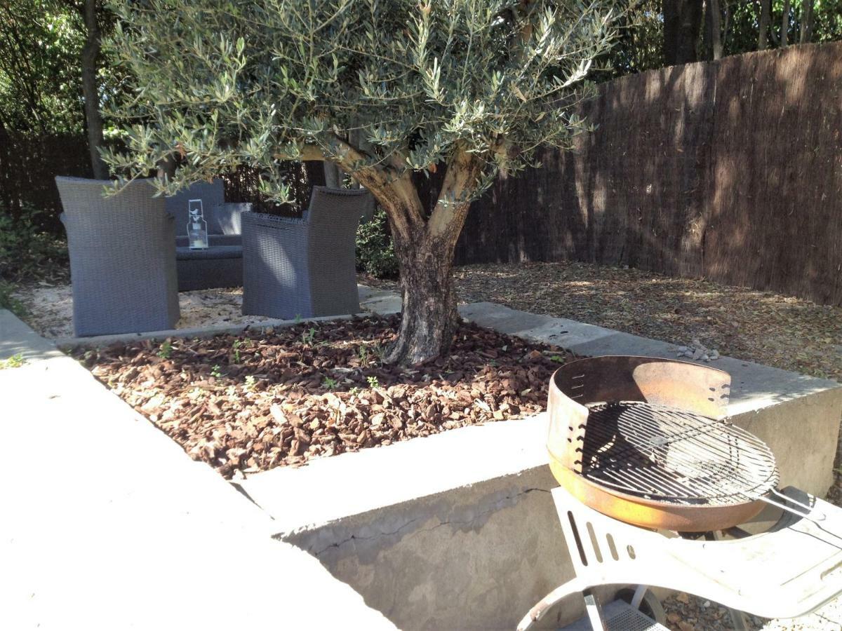 Au Vieux Lavoir Avec Parking Prive, Jardin , Climatisation, A 500 M De La Cite Carcassonne Buitenkant foto