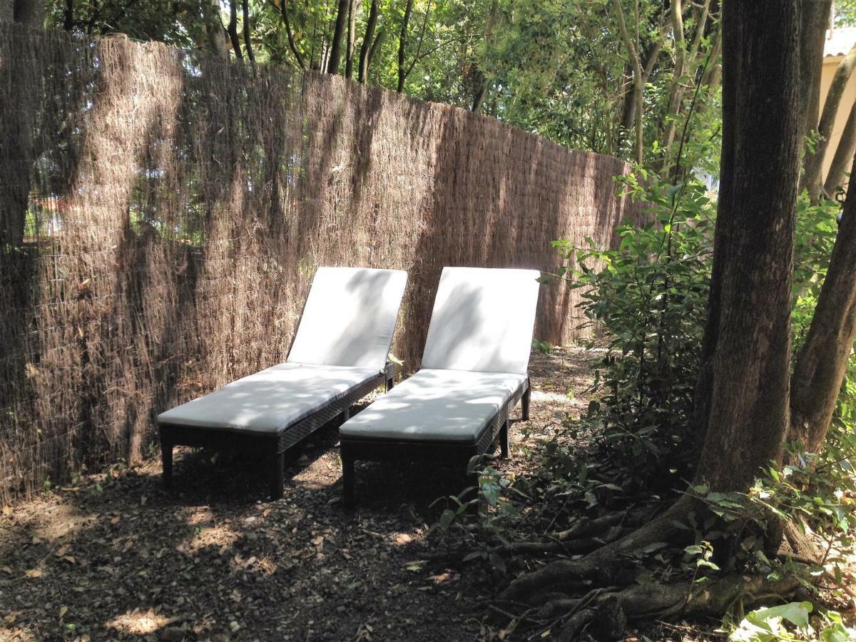 Au Vieux Lavoir Avec Parking Prive, Jardin , Climatisation, A 500 M De La Cite Carcassonne Buitenkant foto
