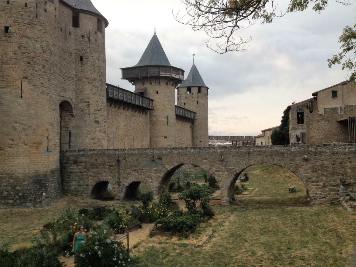 Au Vieux Lavoir Avec Parking Prive, Jardin , Climatisation, A 500 M De La Cite Carcassonne Buitenkant foto